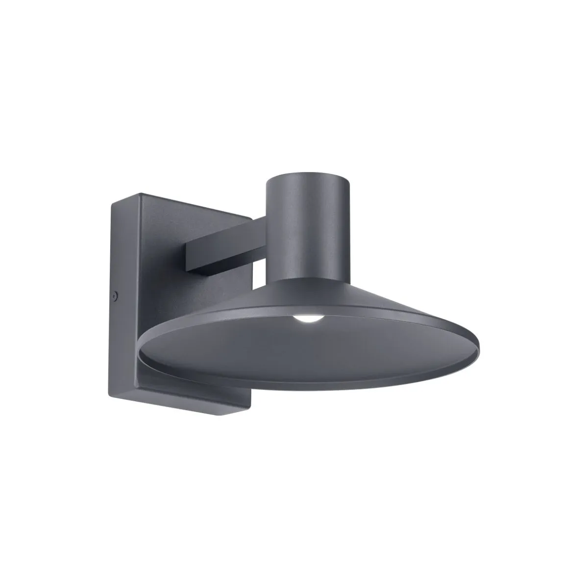 Ash 10 In. LED Hi-Output Outdoor Wall Sconce 675 Lumens 3000K Surge Protection Gray Finish Clear Lens