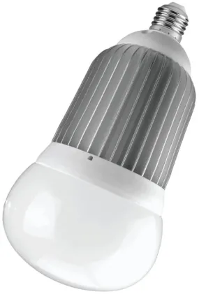 Bulb Big Led 4275l Edison Base