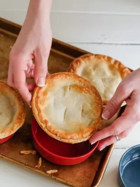 Chicken Curry Meat Pie