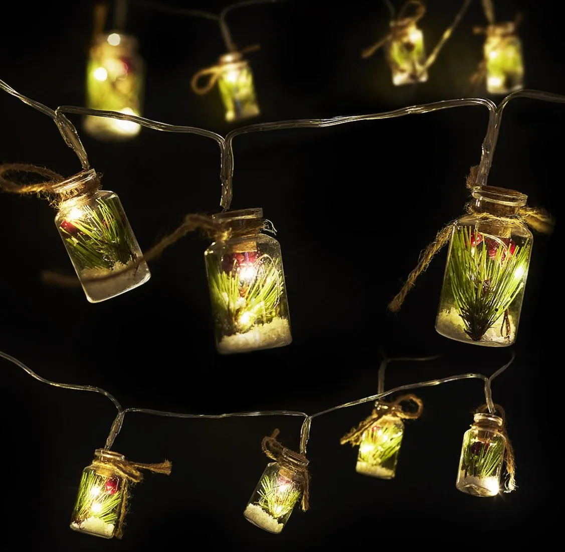 Christmas 10 Light-Up Berries in Cloche String Lights