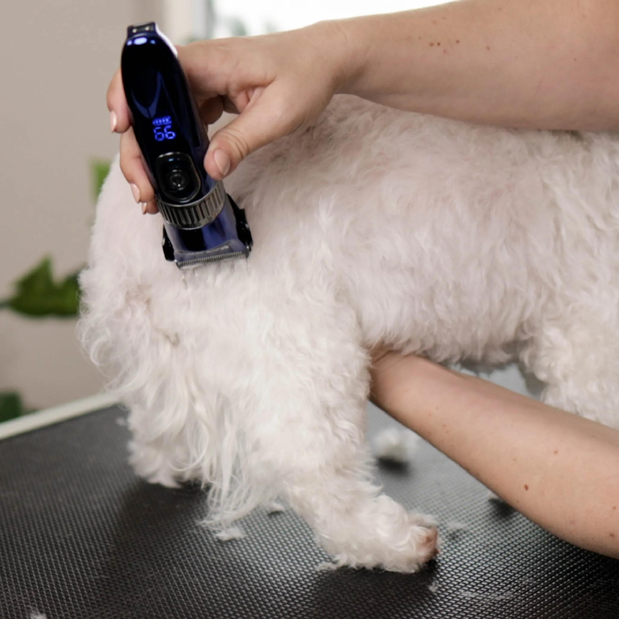 Deluxe Waterproof Dog Clipper