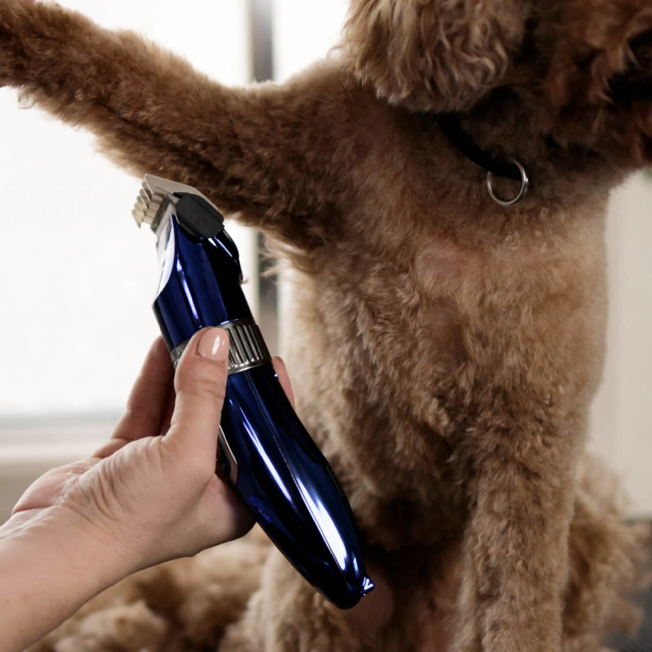 Deluxe Waterproof Dog Clipper