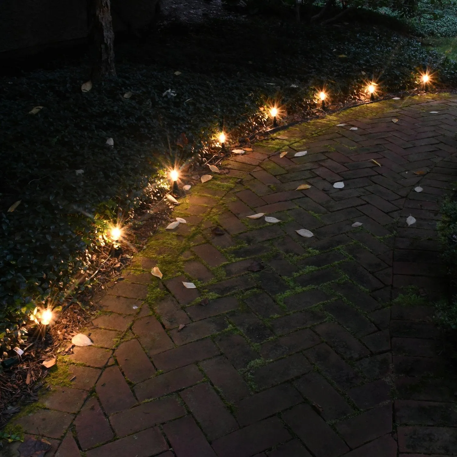 Electric Pathway Lights with 8 LED Bulbs