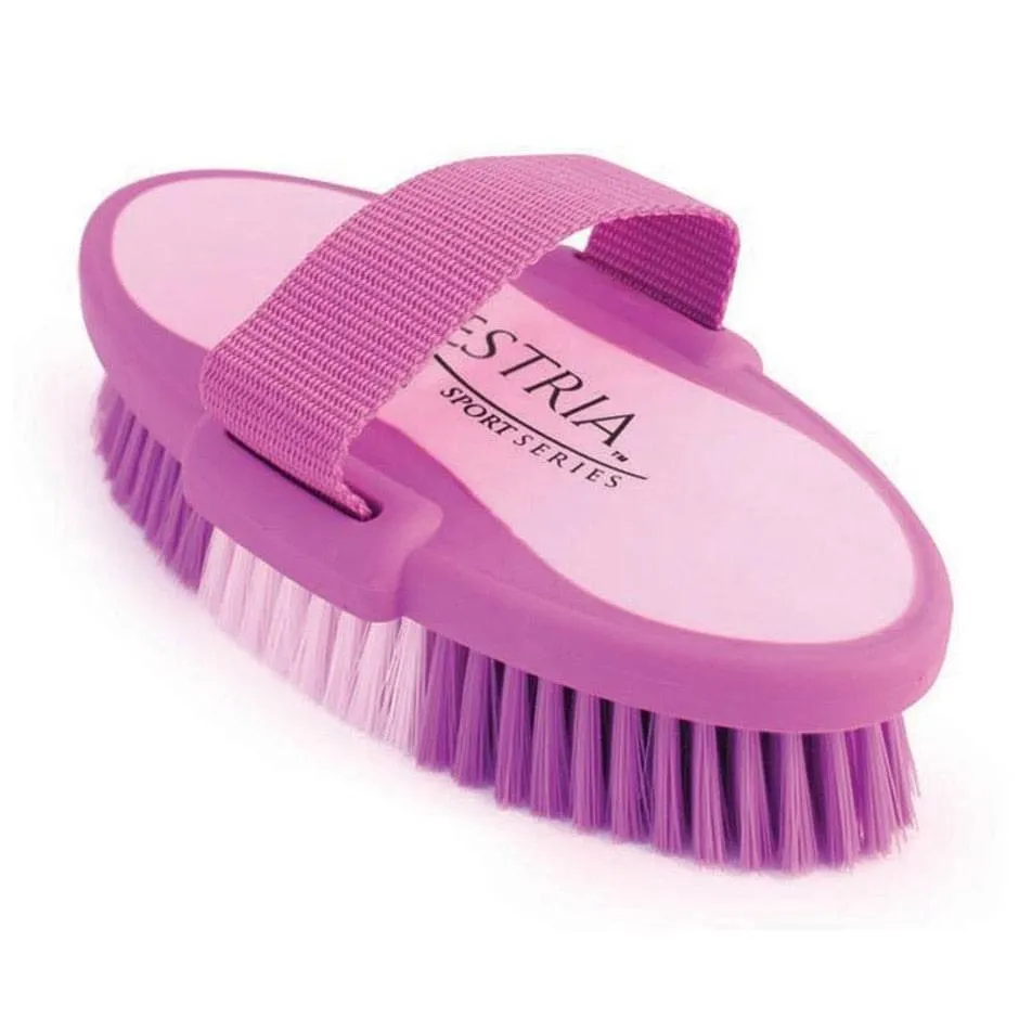 Equestria Sport Oval Body Brush