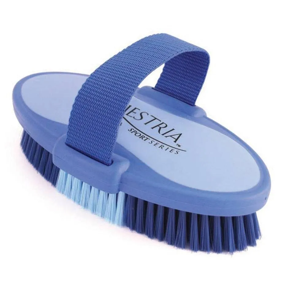 Equestria Sport Oval Body Brush