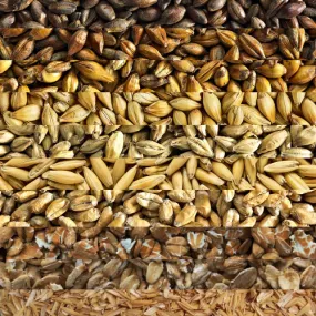 GRAIN BILL - Customer's Product with price 20.16 ID kdKVbxNWVevhfWVIDjGOto0E