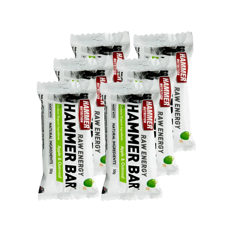 Hammer Nutrition - Energy Bars - Apple Oatmeal