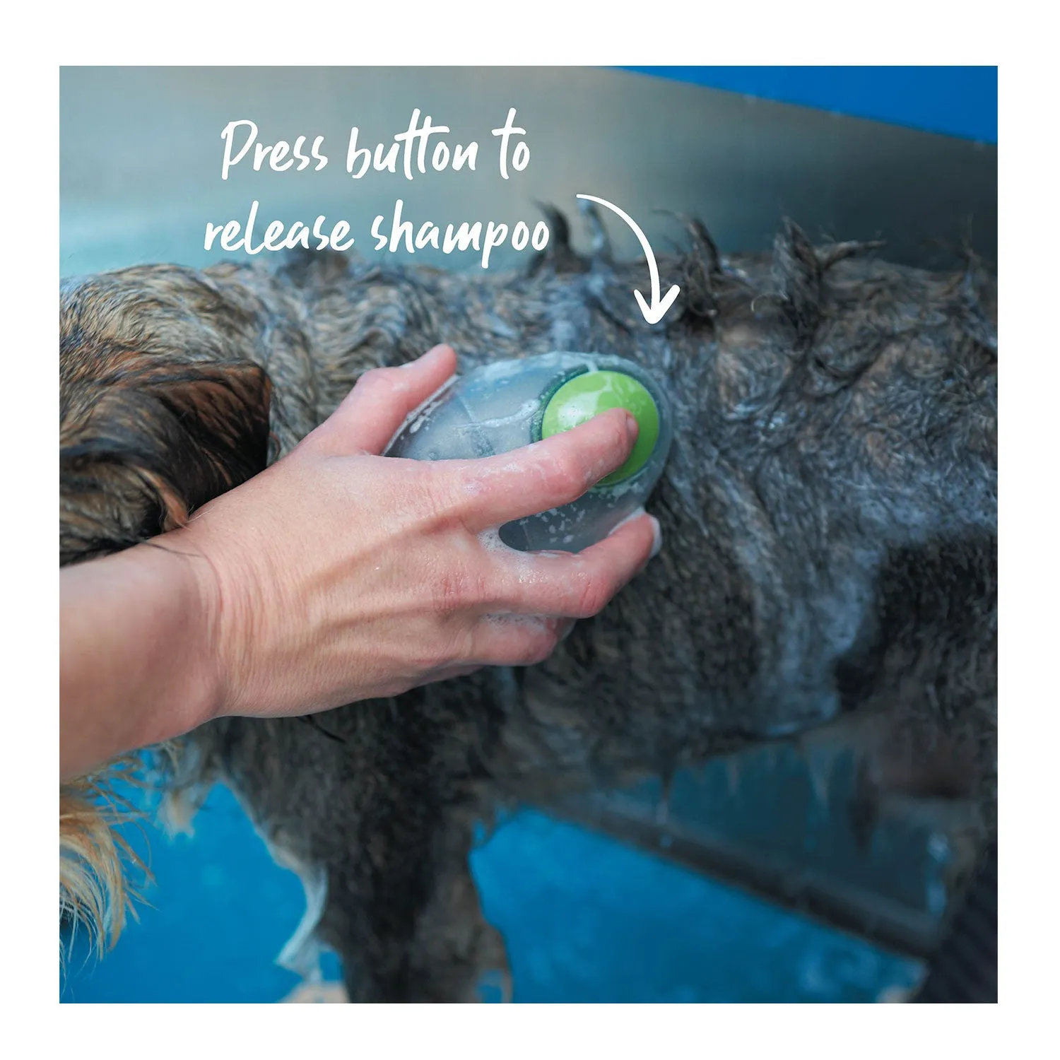 Kazoo Shampoo Brush for Dogs