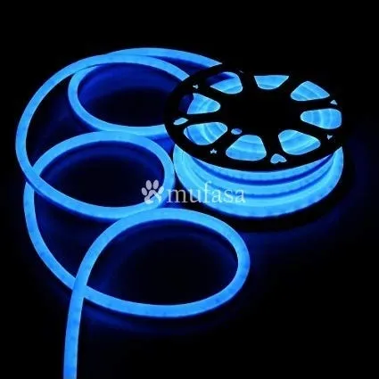 LED Neon Light Rope (Blue) (5 Meter)