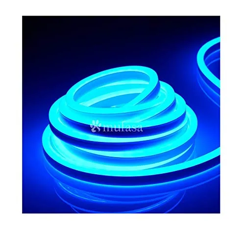 LED Neon Light Rope (Blue) (5 Meter)