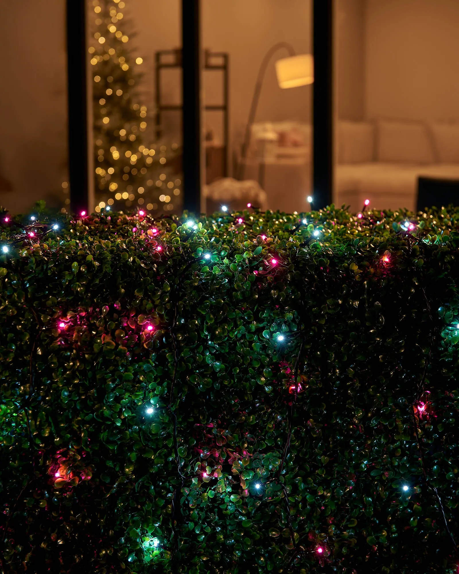 LINK UP LED String Lights, Black Cable, Pink / White