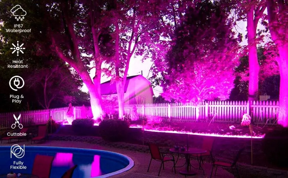 Pink LED Neon Flex 220V 240V 8x16mm 120LEDs/m IP65 Waterproof with UK Plug